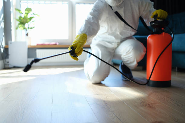 Reliable Blood Cleanup contractor in Sloan, NV by Trauma Clean Pros